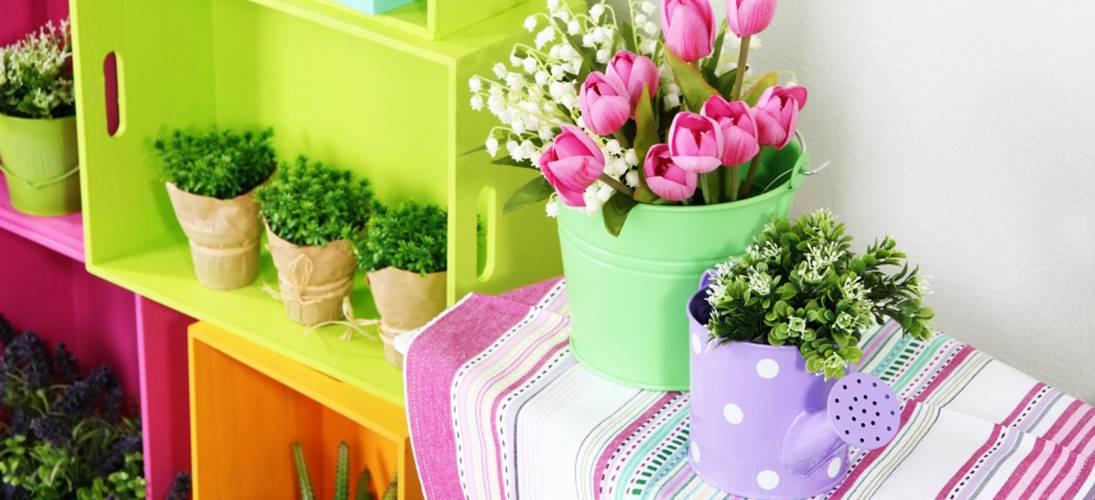 step into spring