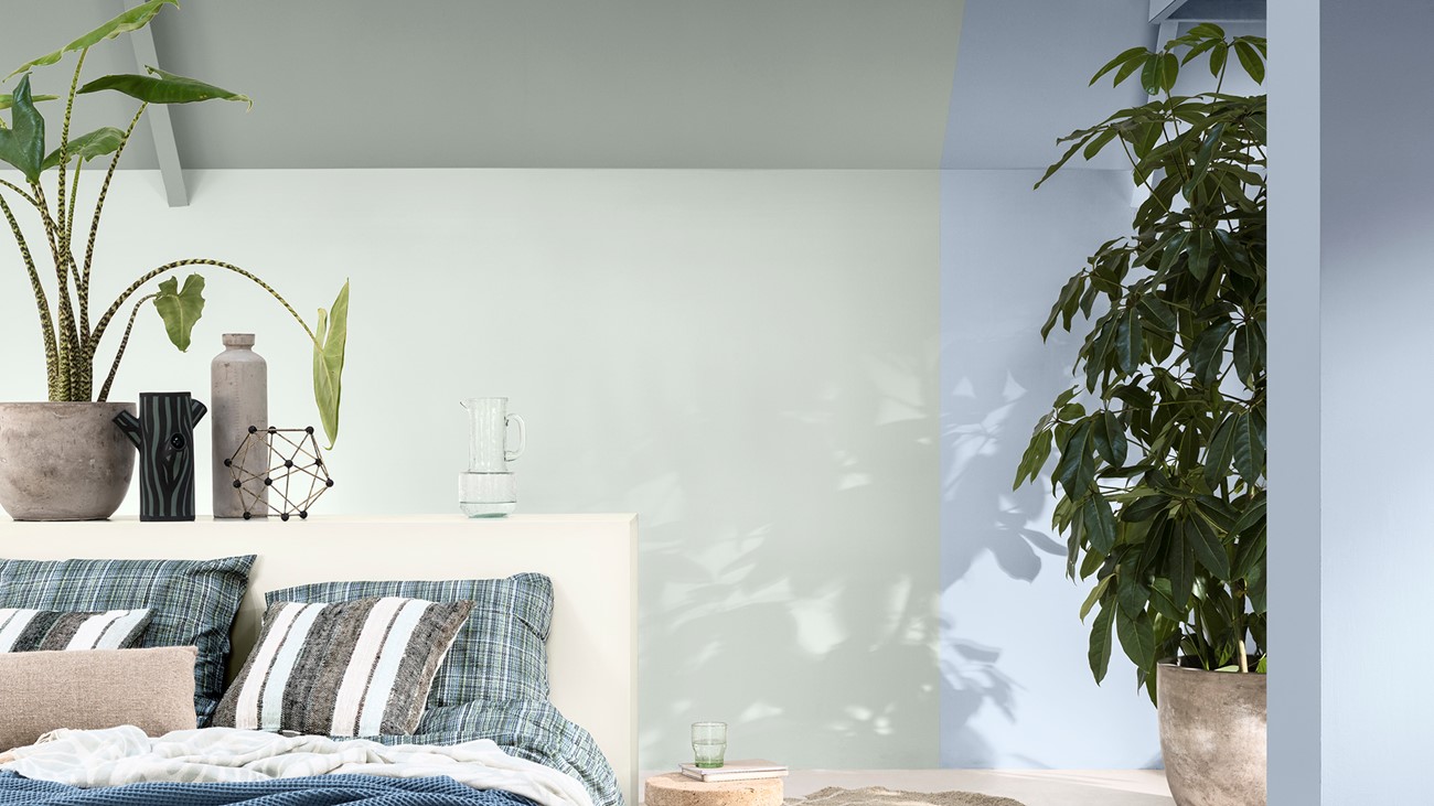 Dulux Room Image with Bright Skies and Fossil Hunting