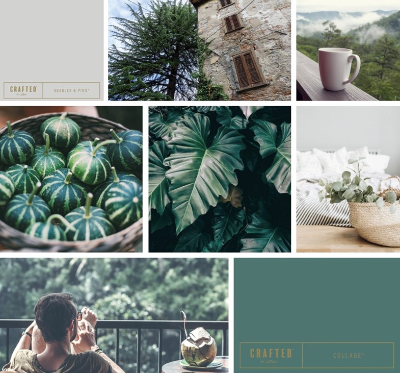 Mood Board by Paint Direct