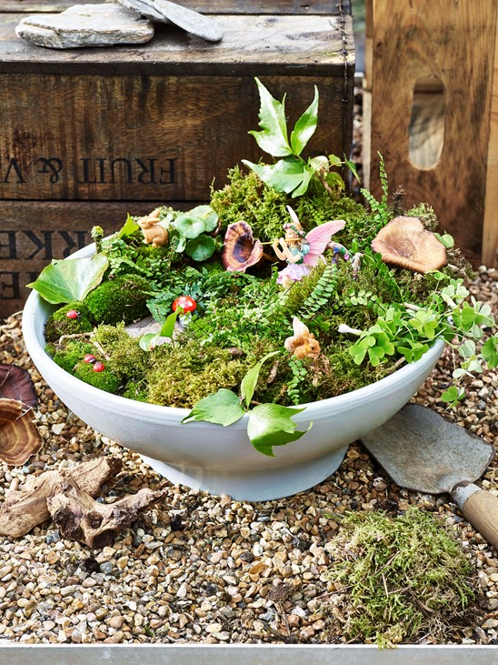 Fairy Garden