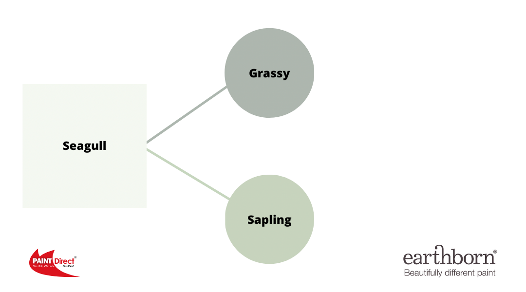 Earthborn-compleementary-colours-seagull-sapling-grassy
