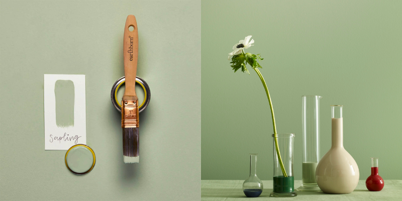 paint-direct-earthborn-sapling