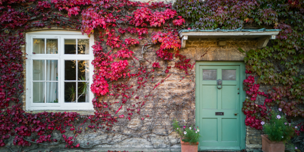 Your guide to autumn projects!