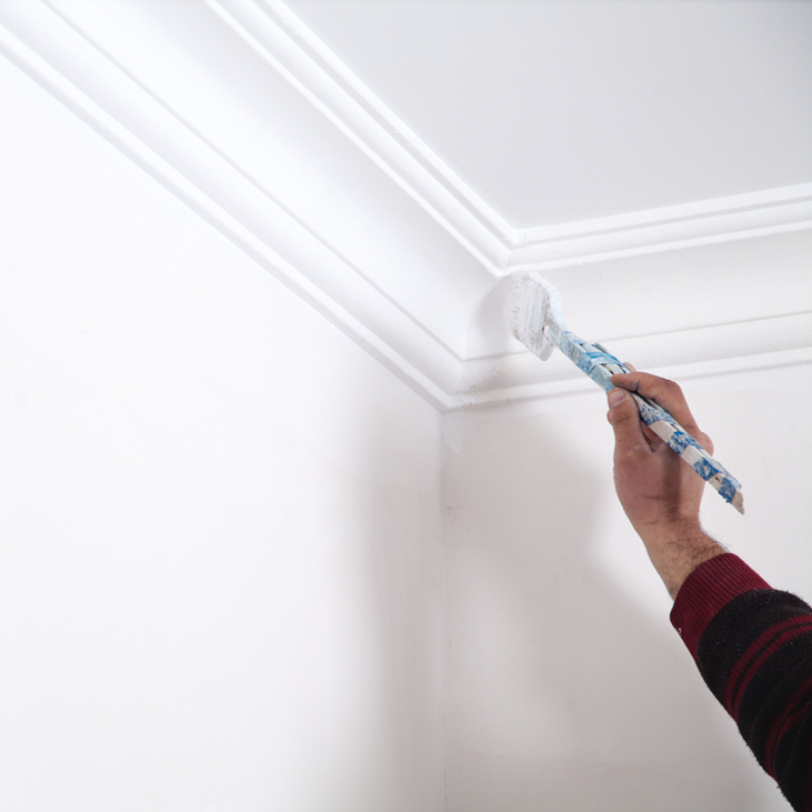 crown-trade-covermatt-obliterating-emulsion-ceiling