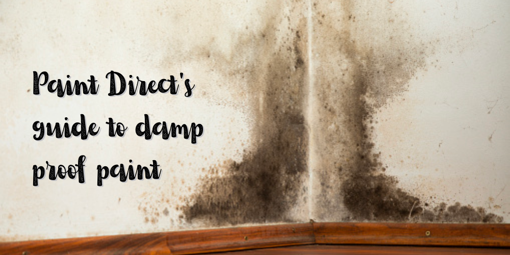 Paint Direct's guide to damp proof paint