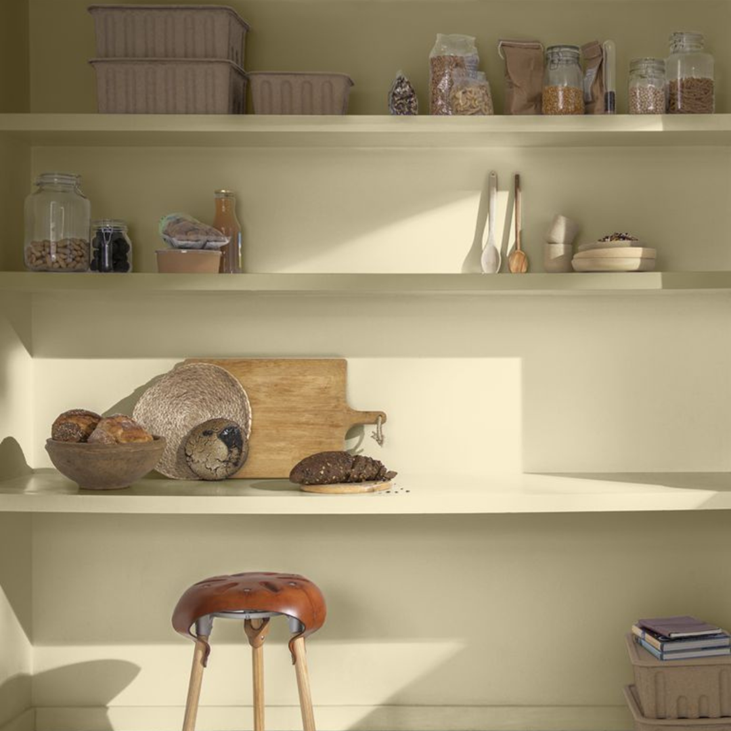 paint-direct-dulux-wild-wonder-dining