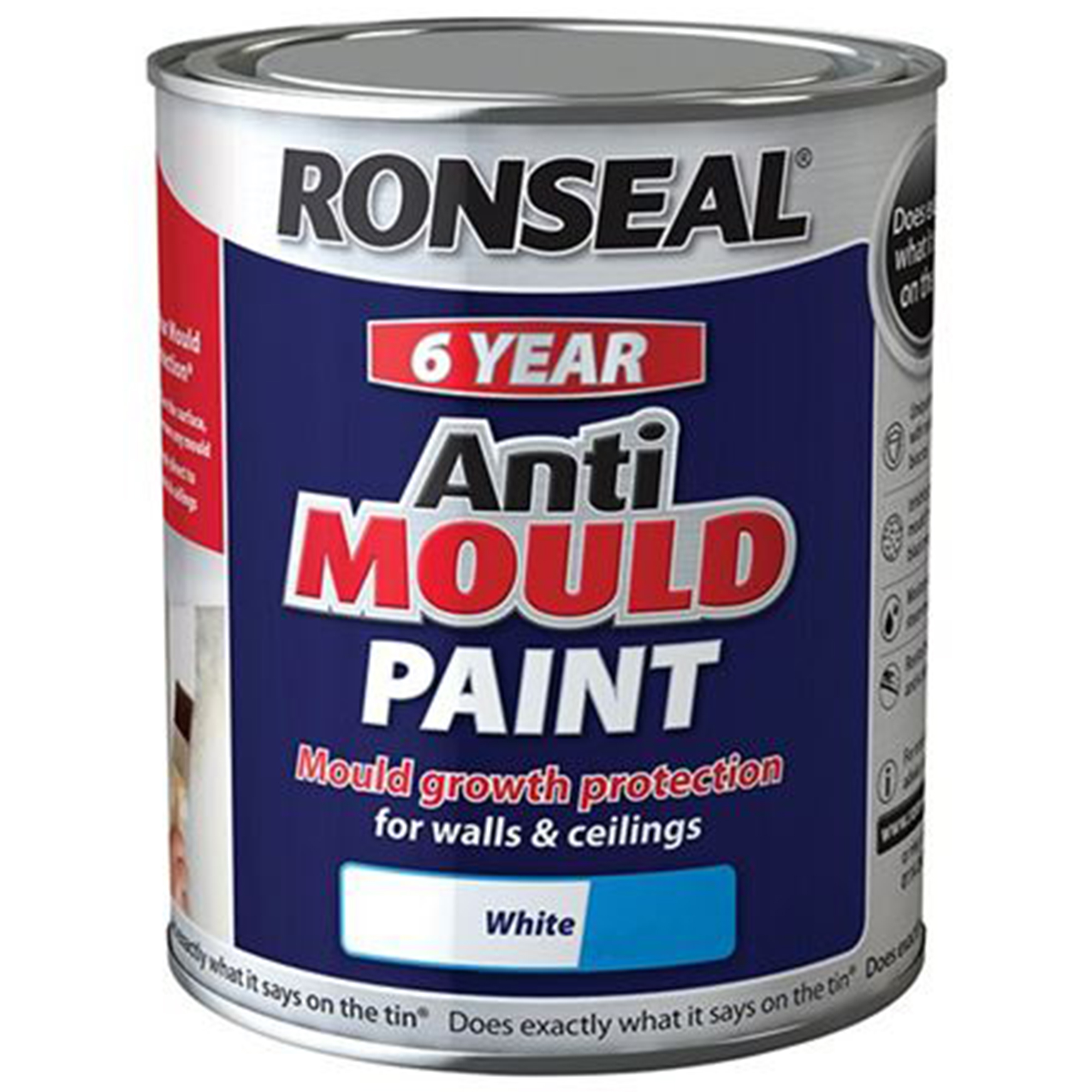 Ronseal 6 Year Anti Mould Paint